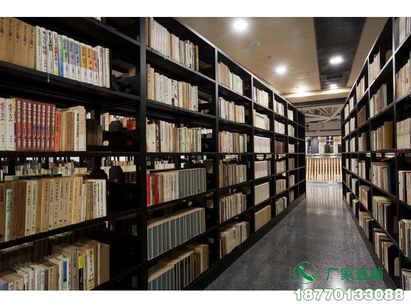 贺州古籍图书收藏专用书架